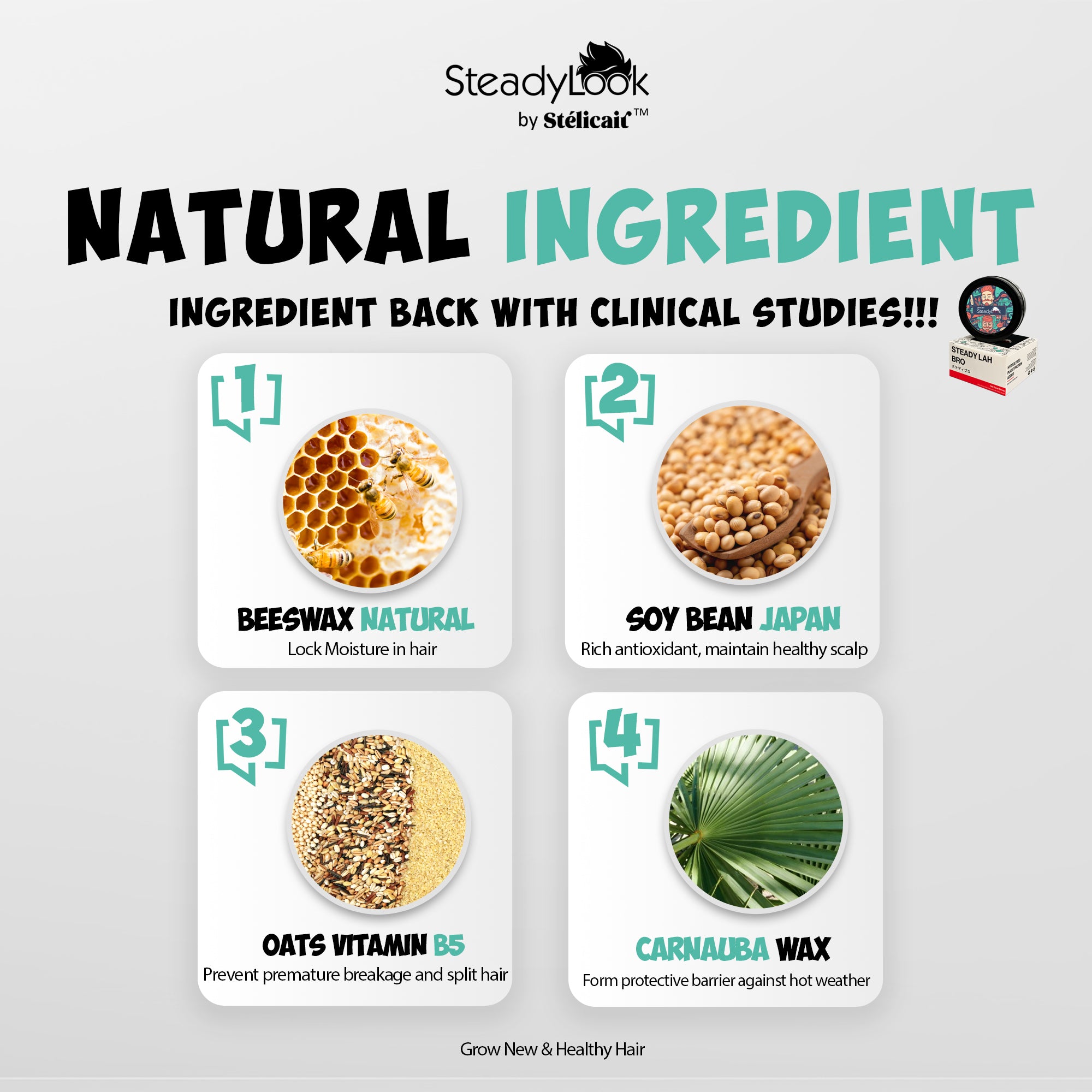 【SteadyLook by Stélicair】The Steady Look Matte Wax Hair Styling Clay | 80g | Water based